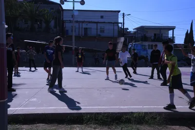 DSC_2110 (Large).JPG